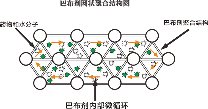 巴布贴网状聚合结构锁定药物和水分