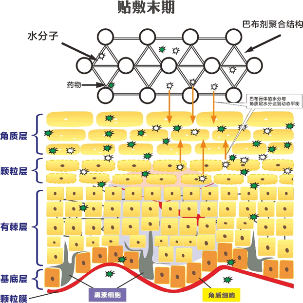 巴布剂面膜贴敷末期